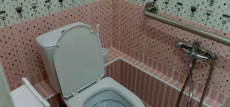 Meeting Diverse Needs With Accessible Restroom Solutions in Albany, CA